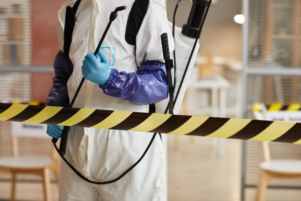 Professional Sewage Cleanup technician working in Saint Albans, MO